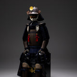 [Y-009] Iron Rust Area Sanada Yukimura